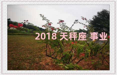 2018 天秤座 事业